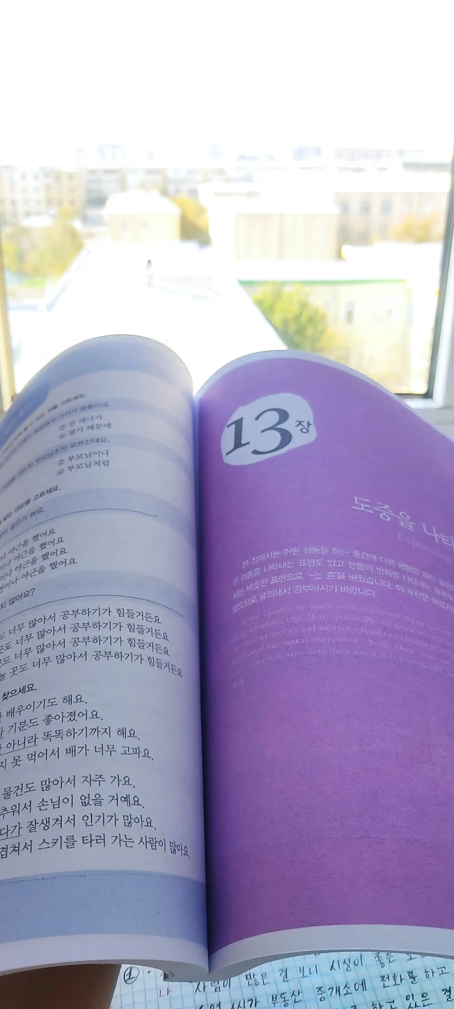 Korean Grammar in Use: Beginning, Intermediate, Advanced