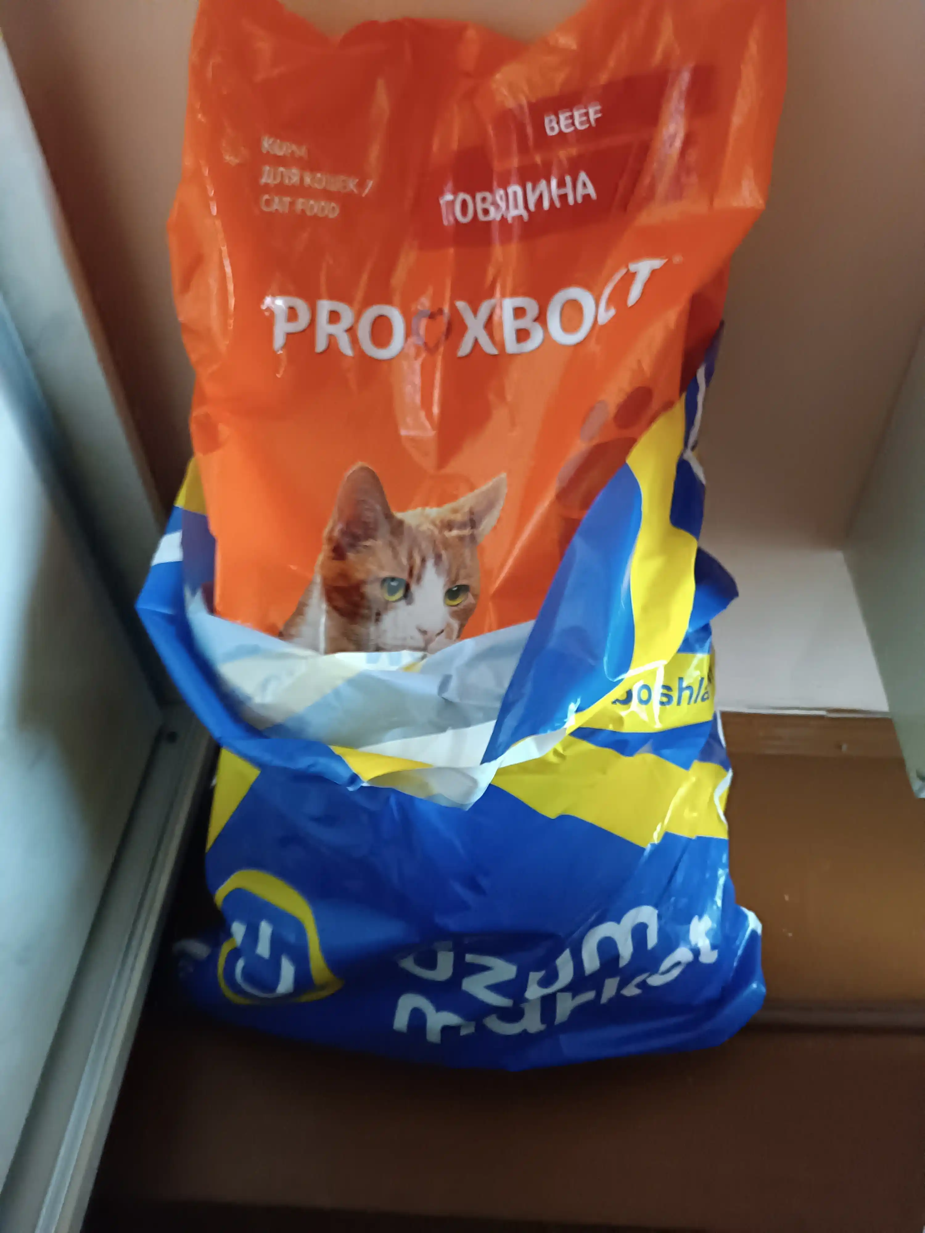 ProXвост mushuklar uchun quruq yem, mol go'shti 10 kg