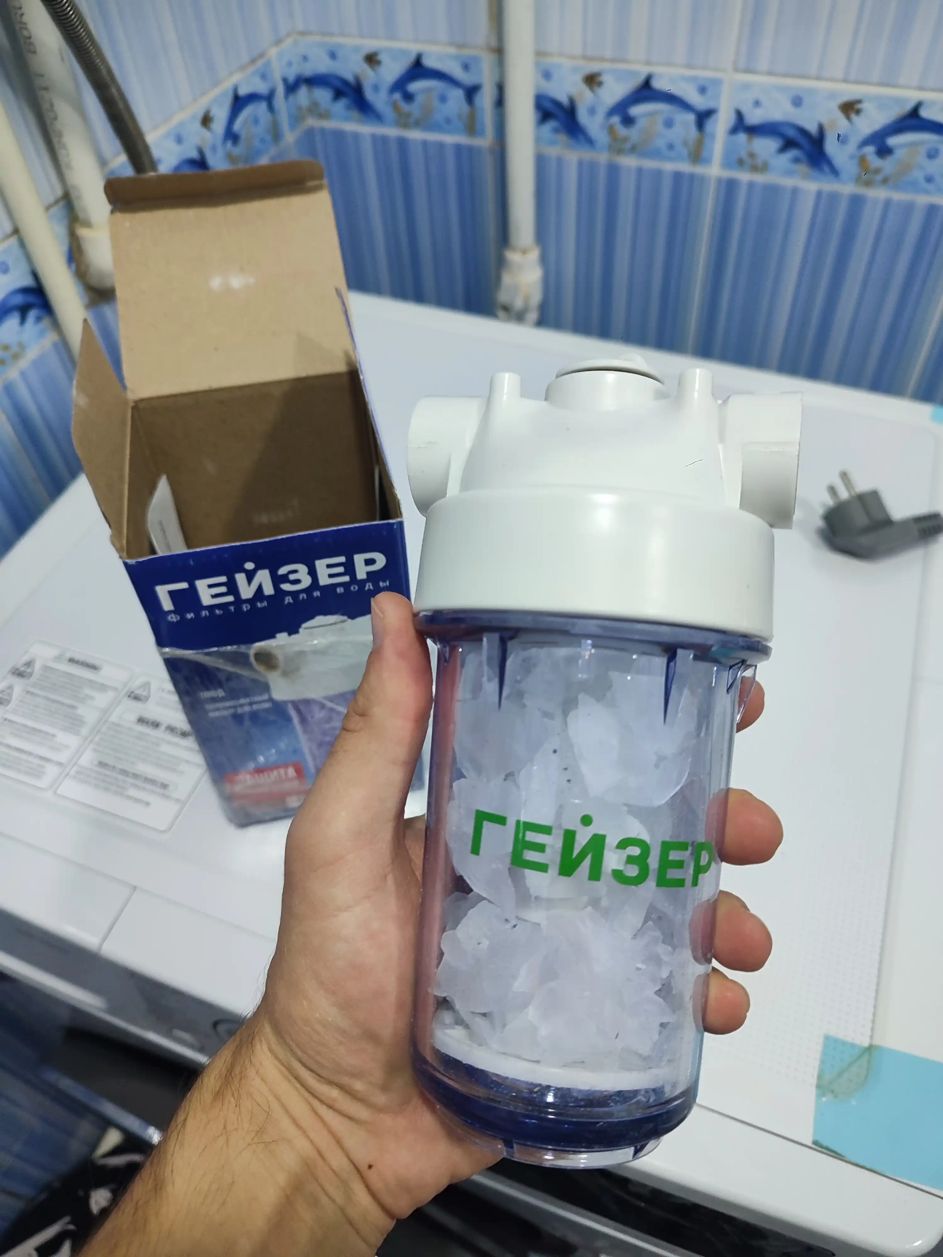 Geyzer 1PFD magistral filtri, 1/2" quvurlar uchun, qizdiruvchi elementlarni himoya qiladi
