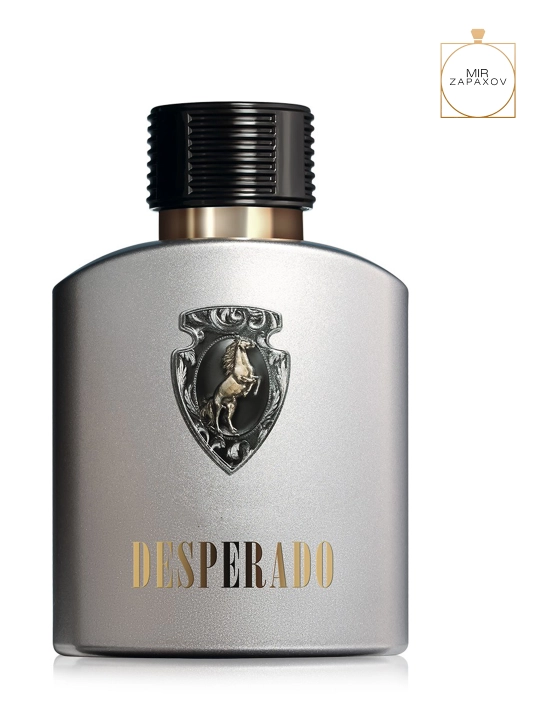 Xushboylangan suvi erkaklar uchun Desperado, 100 ml - 
