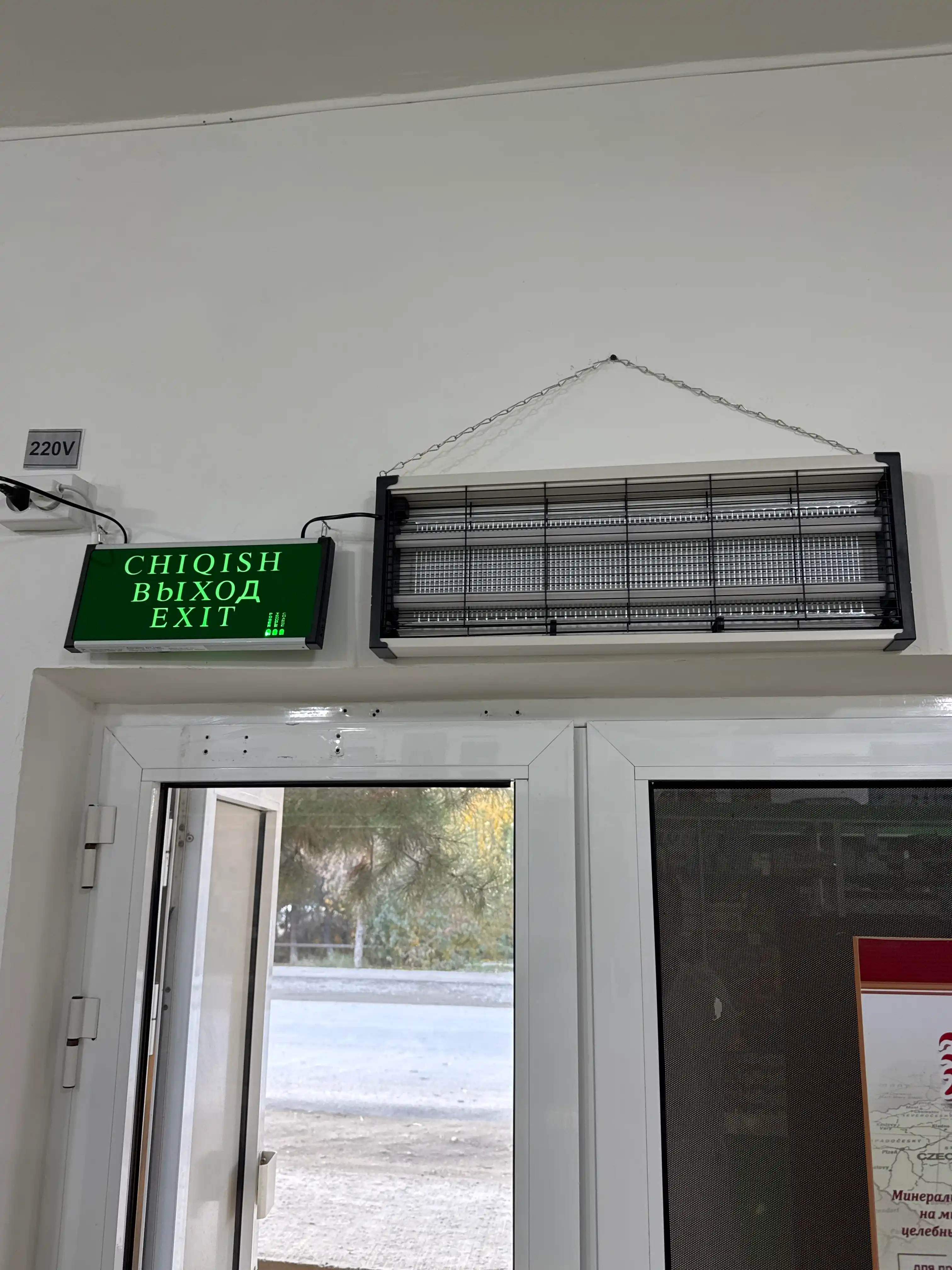 Pashsha va chivin o'ldiruvchi lampa, ultrabinafsha lampa