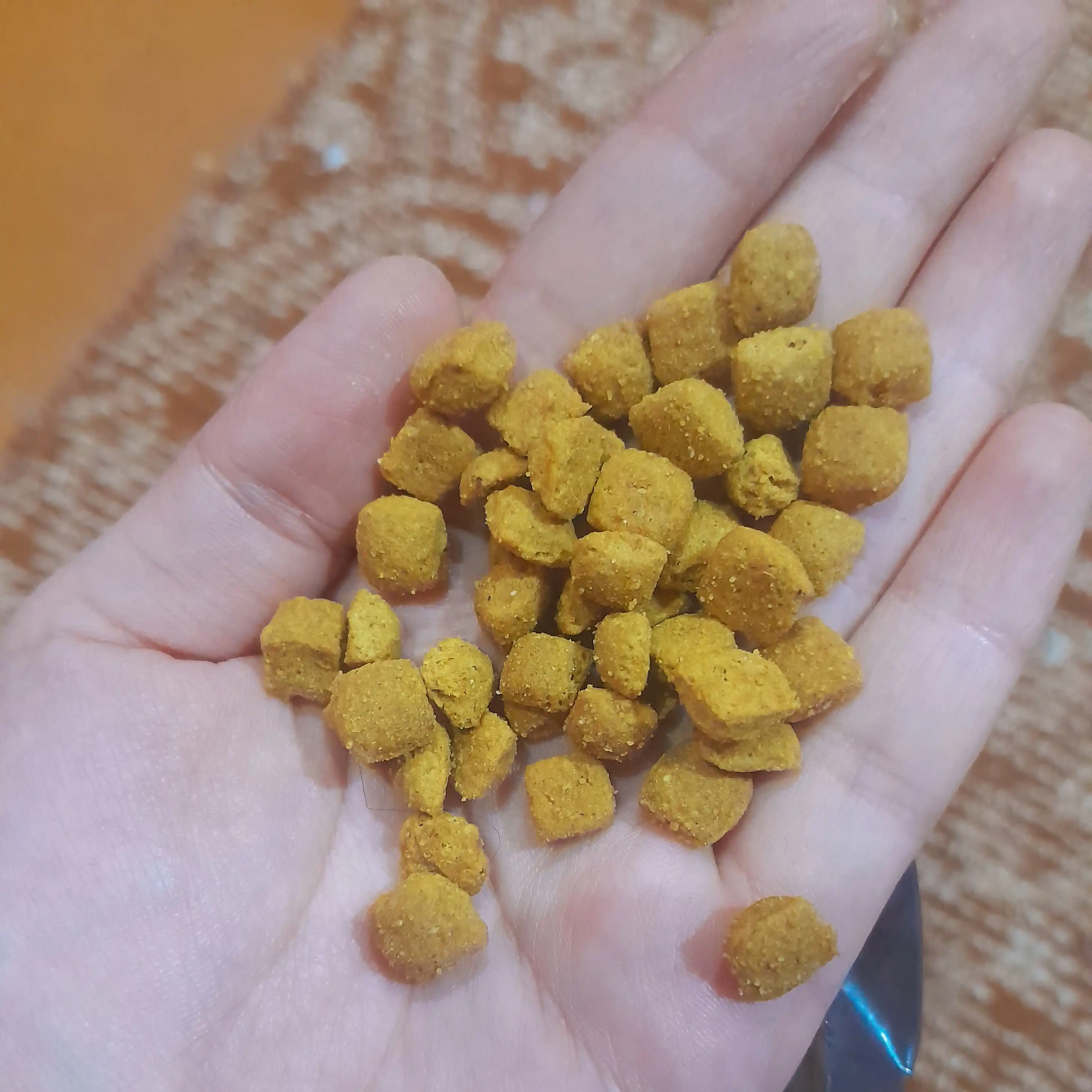Miratorg Meat mushuklari uchun quruq yem, qo'zichoq bilan, 300 gr
