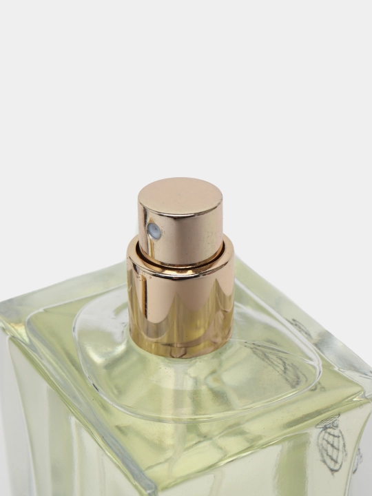Erkaklar parfyumlangan suvi NARCOTIQUE EDP, BmlP, 100 ml