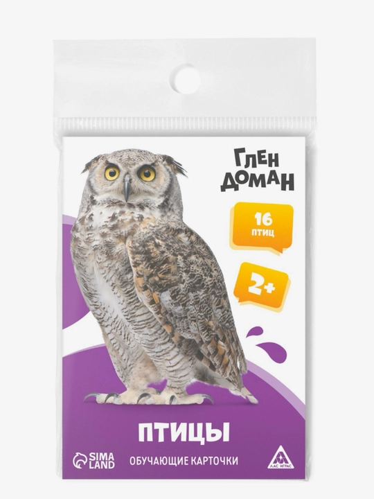 Glen Doman usuli bo'yicha bolalar uchun o'quv kartalari, rivojnantirish kartalari, 3+