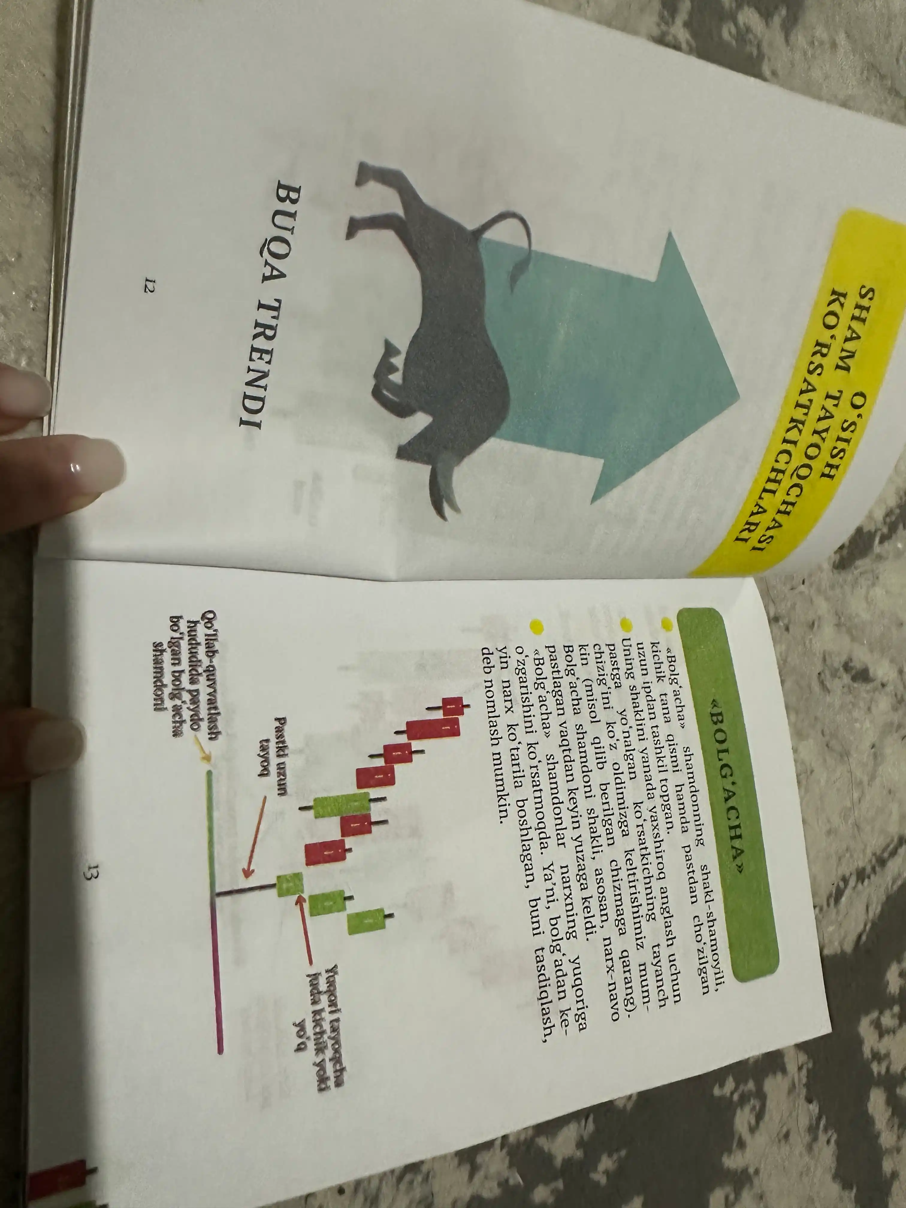 The Official Simple Trading Book, oddiy savdo kitobi