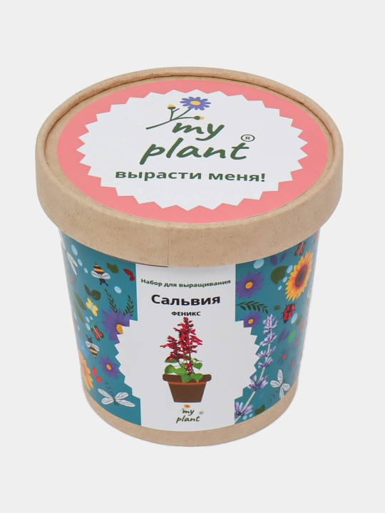 Набор для выращивания растений Happy Plants-Вырасти сам цветы