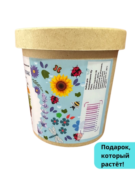 Набор для выращивания растений Happy Plants-Вырасти сам цветы