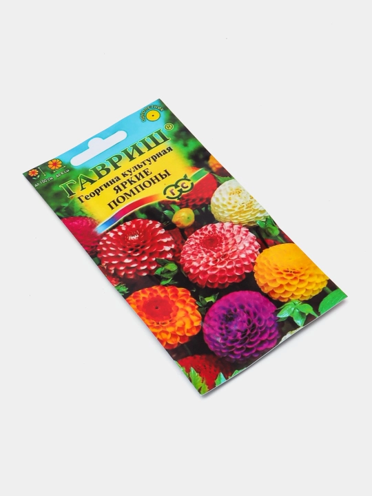 Gul urug'lari Coreopsis, Morning Glory, Moychechak, Aster, Verbena, chinnigullar, Dahlia