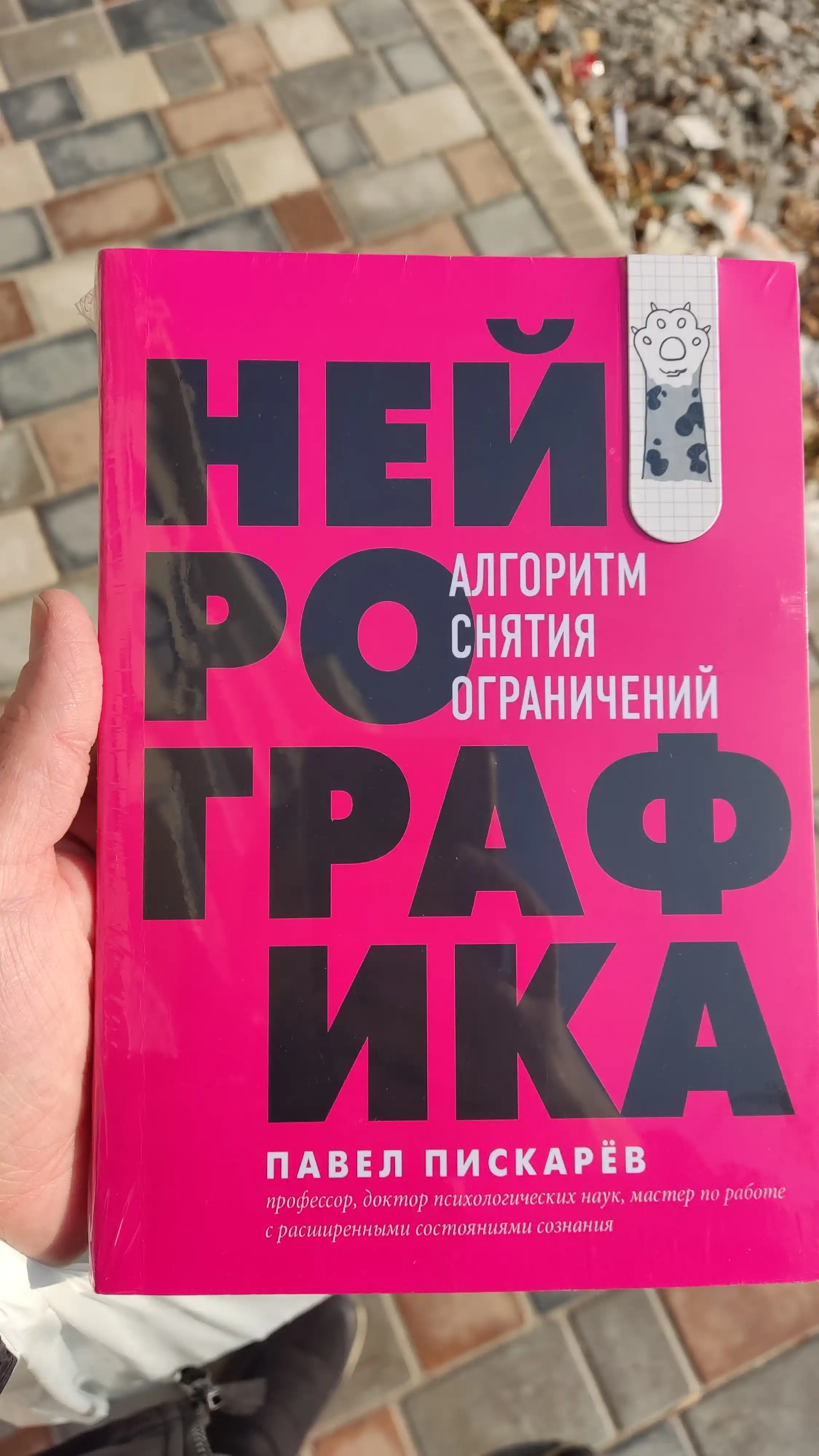 Neyrografika, Algoritm snyatiya ogranicheniy, Pavel Piskarov