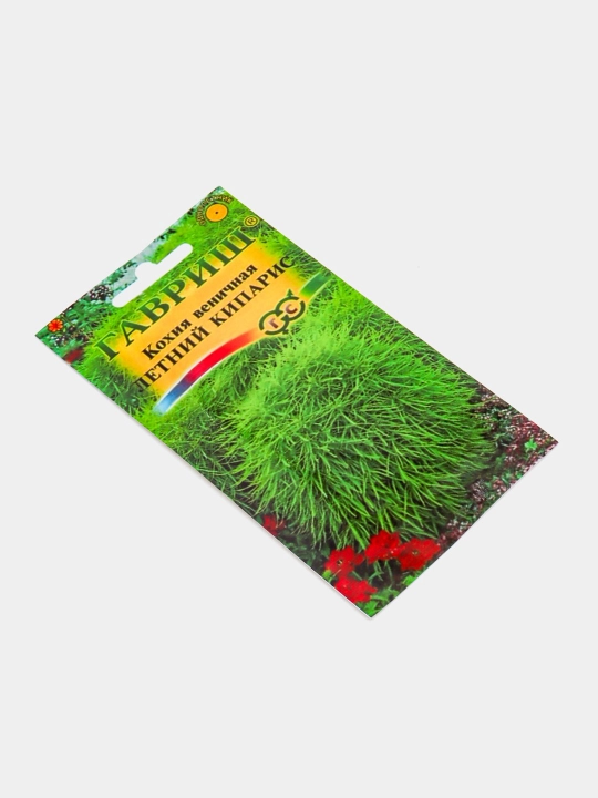Gul urug'lari Delfinium, Koxiya, Petunya, Vasilyok