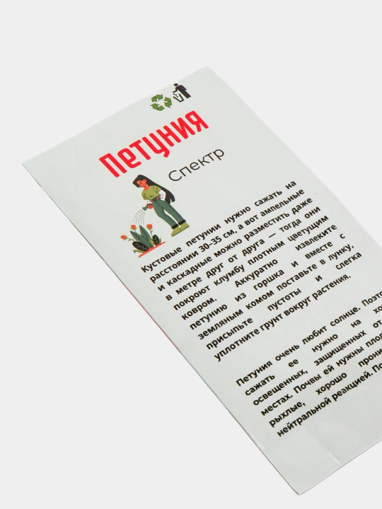 Gul urug'lari Delfinium, Koxiya, Petunya, Vasilyok
