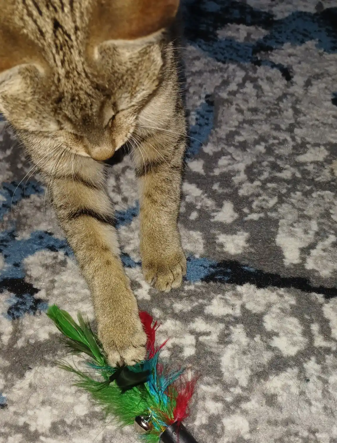 Игрушка для кошек и котят удочка-дразнилка с перьями и бубенчиком