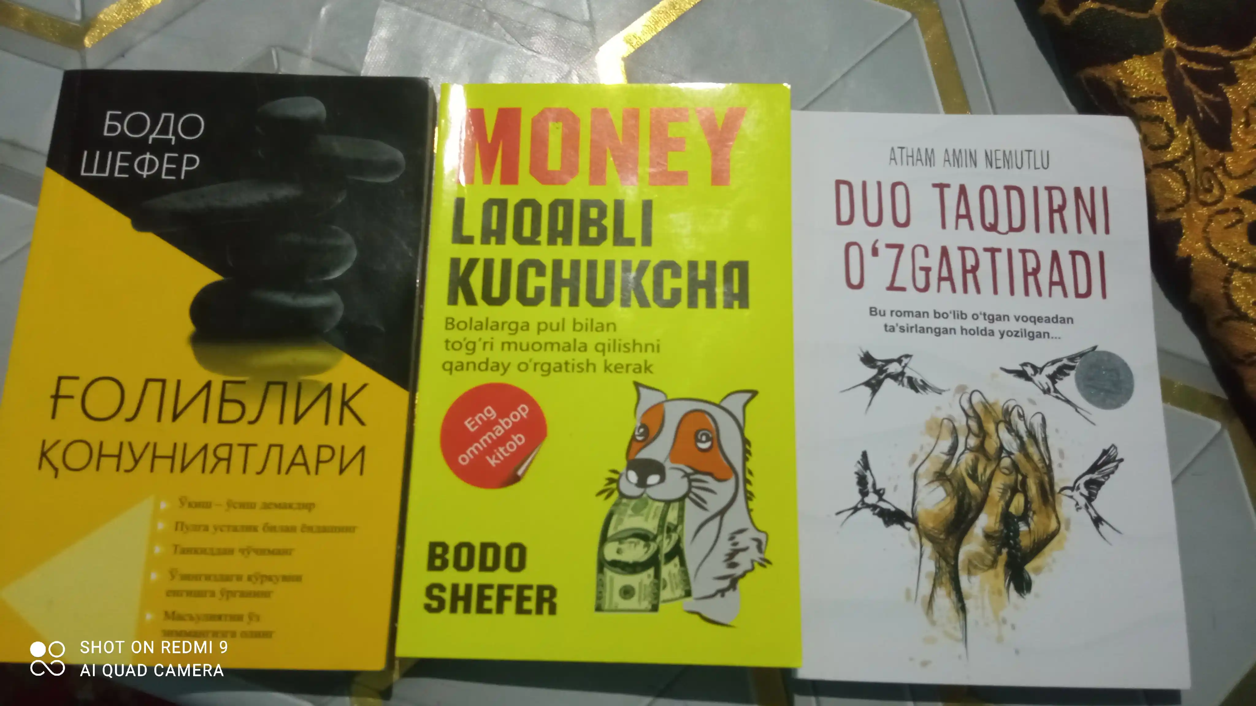 Ғолиблик қонуниятлари, Пул алифбоси, Мани лақабли кучукча — Бодо Шефер