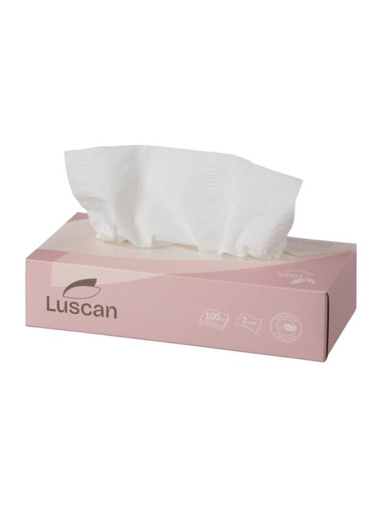 Kosmetik qog'oz salfetkalar Luscan, 2 qavatli, paket 100 dona yoki kub uchun 90 dona