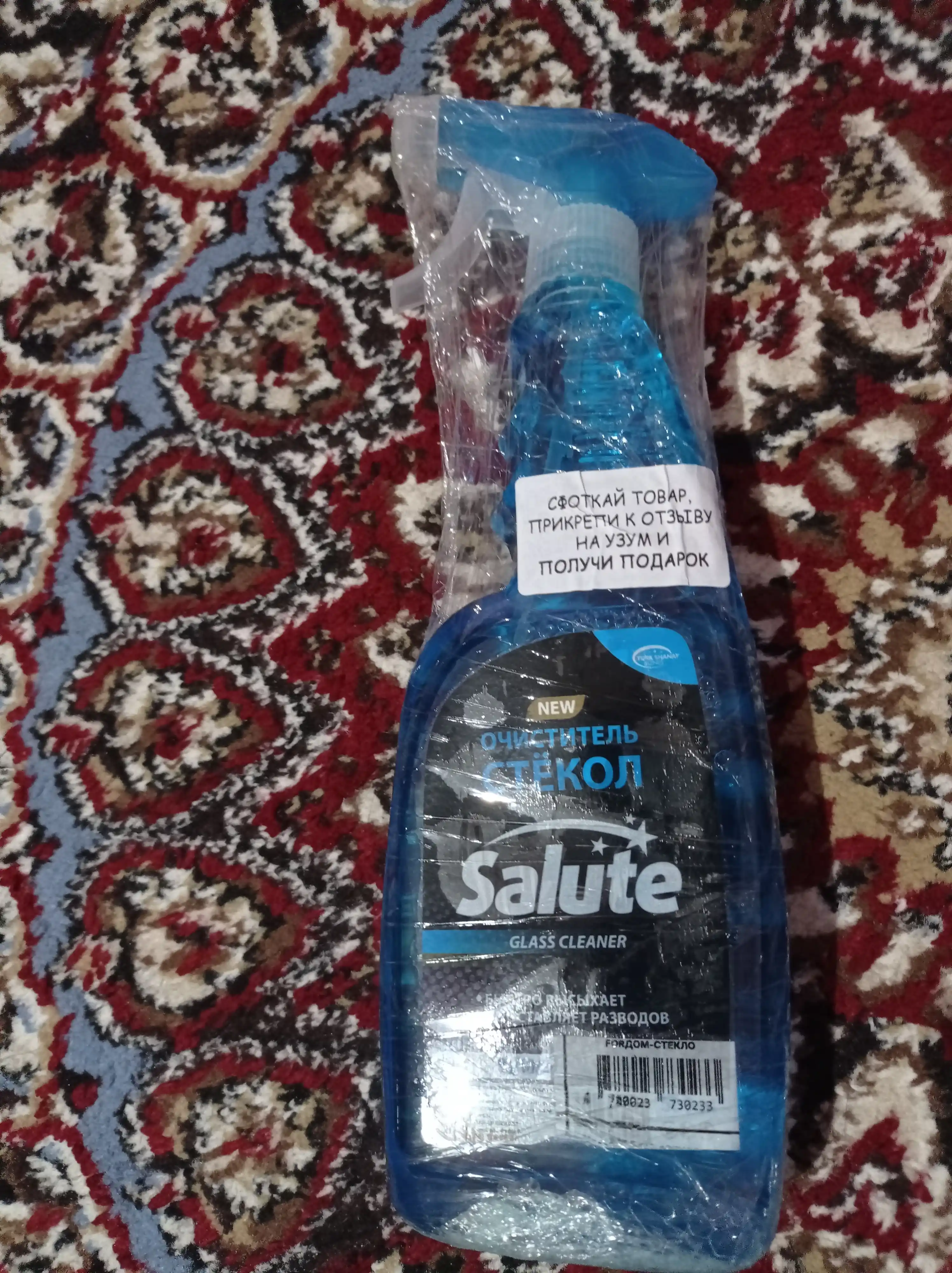 Средство для мытья стекол Salute, 500 мл, для стекол и зеркал спрей от запотевания