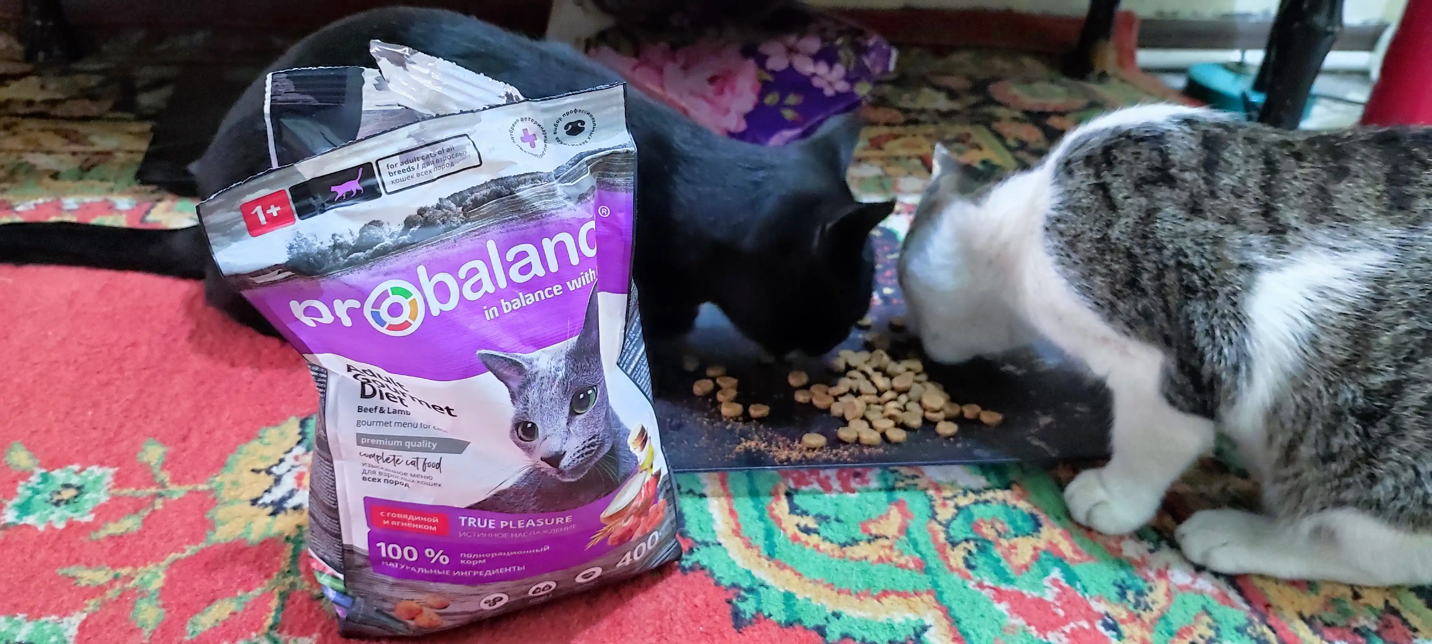 ProBalance Gourmet  сухой корм для кошек с говядиной и ягненком, 400 гр