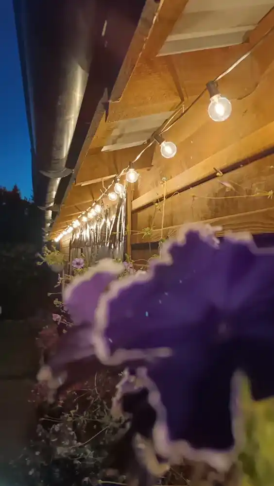Vintaj lampalari bilan yorug‘lik diodli retro gulchambar, ko‘cha va uy uchun, 7.5 va 15 me