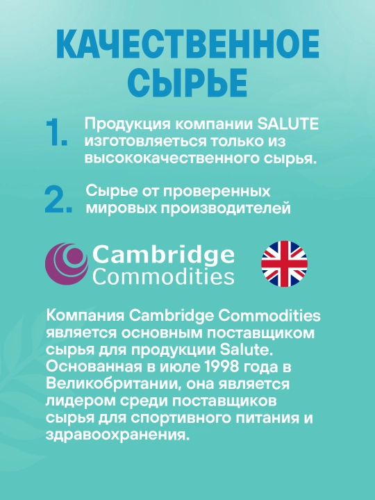 Цинк хелат Salute для укрепления иммунитета, 60 таблеток, халяль