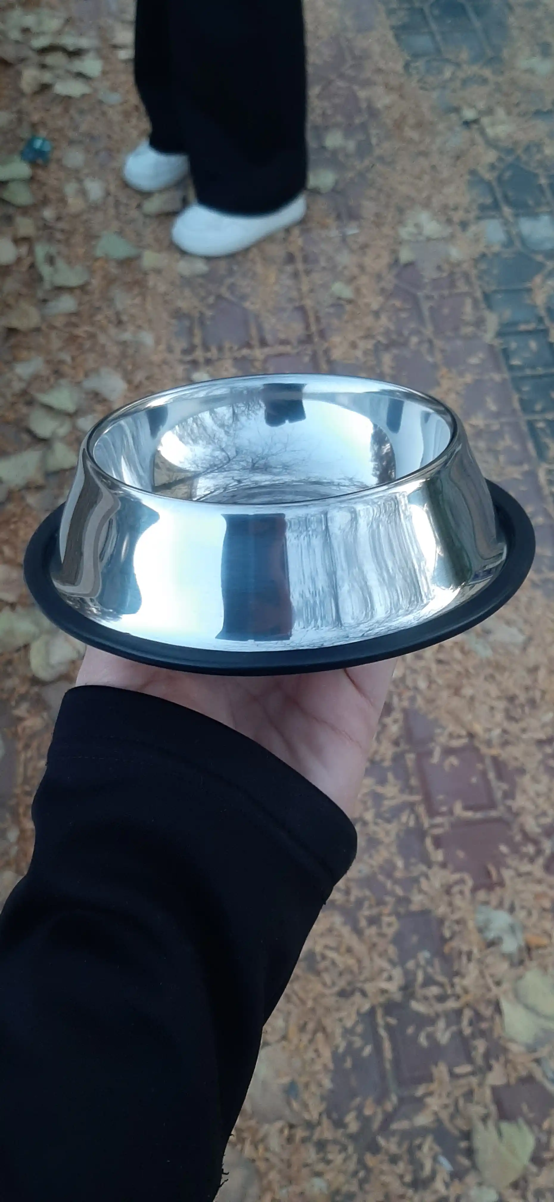 Mushuklar va itlar uchun, sirpanmaydigan taglikli metall idish, 16 sm