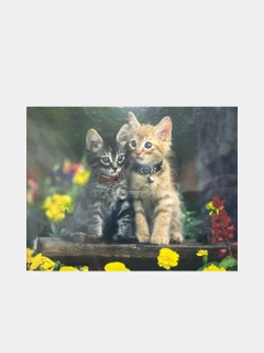 Кораллово-розовый