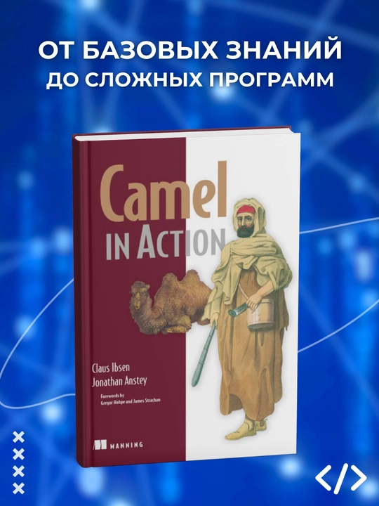 Книга, Camel in Action, Claus Ibsen, Jonathan Anstey, Программирование - 