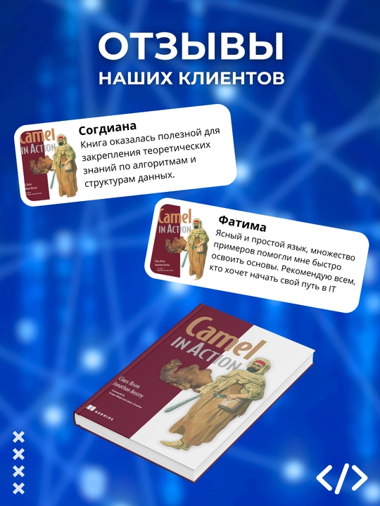 Книга, Camel in Action, Claus Ibsen, Jonathan Anstey, Программирование