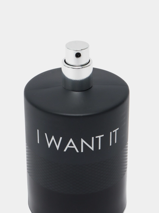 Парфюмерная вода для мужчин La Vie I Want It, 100 мл, Dilis
