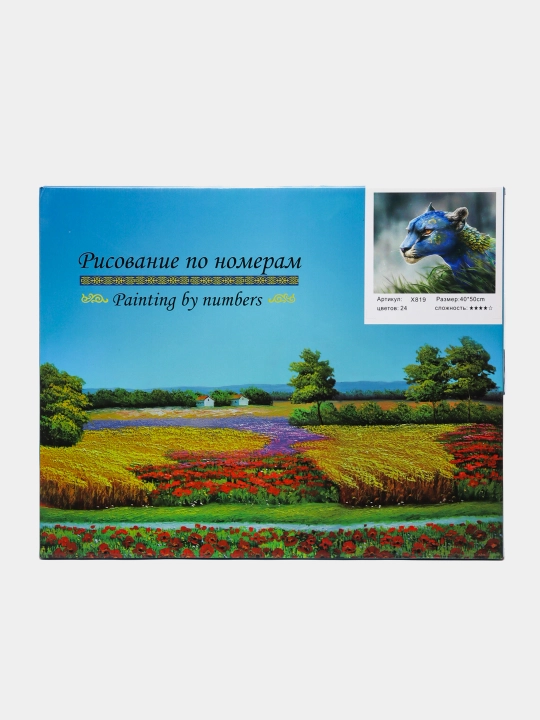X819 raqamlari bo'yicha bo'yash q0000010023