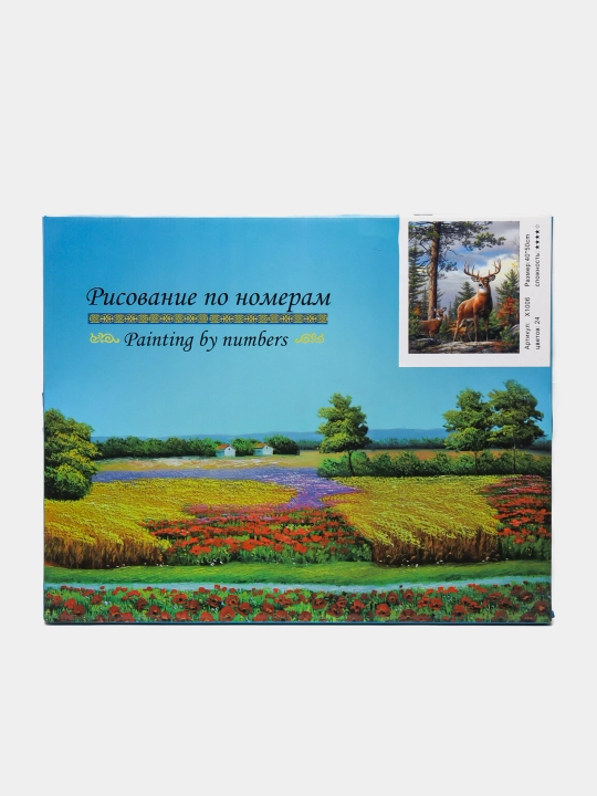 X1006 raqamlari bo'yicha bo'yash q0000010023 - 