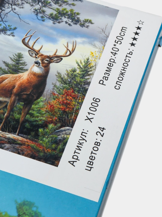 X1006 raqamlari bo'yicha bo'yash q0000010023