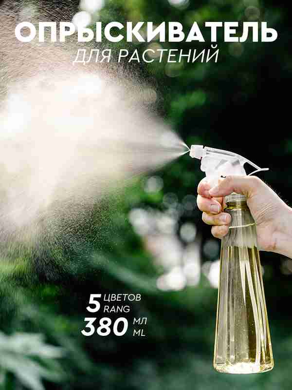 Lvovdagi arzon fohishalar