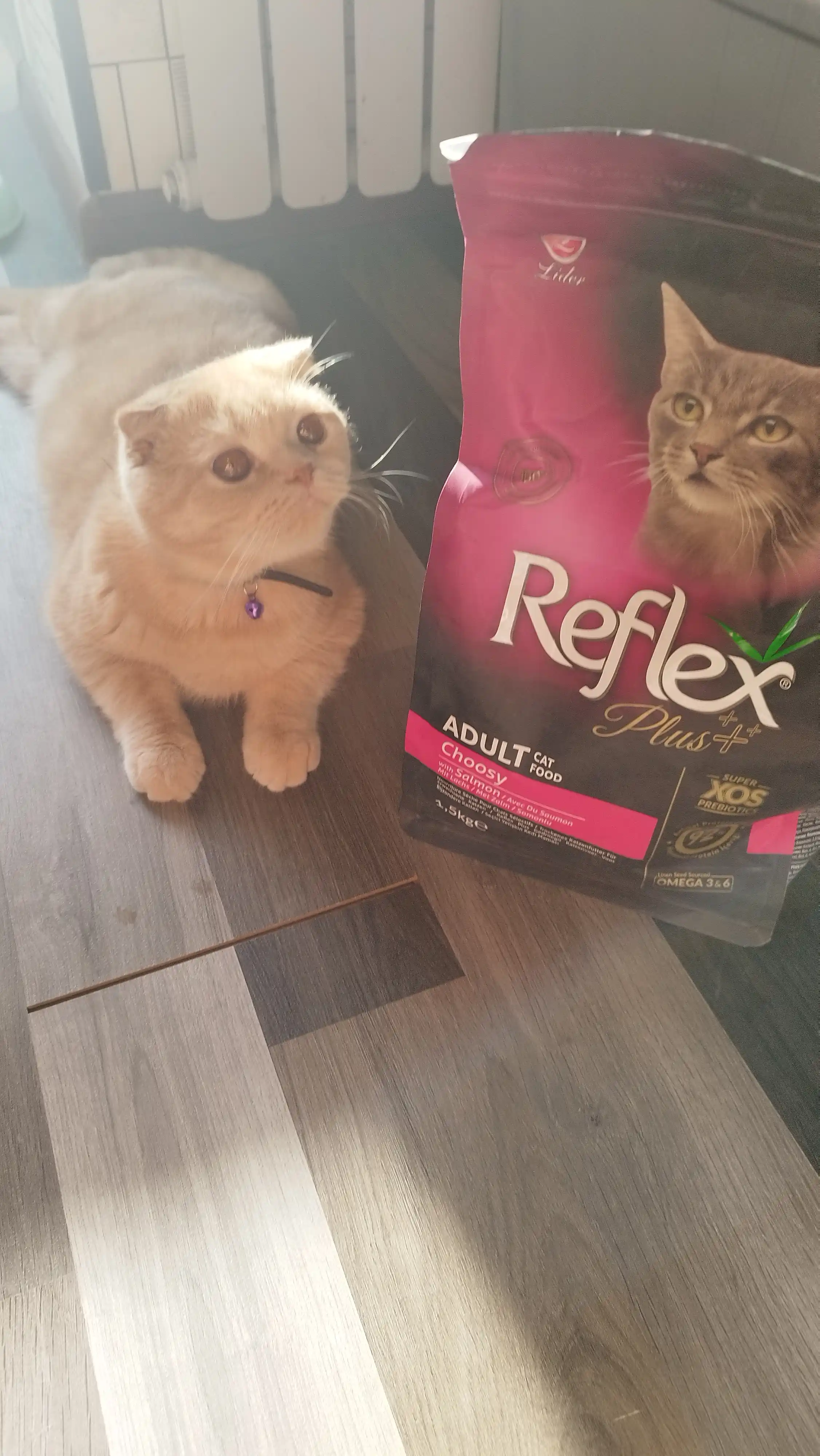 Reflex Plus Choosy – injiq mushuklar uchun lososli quruq ozuqa, 1,5 kg