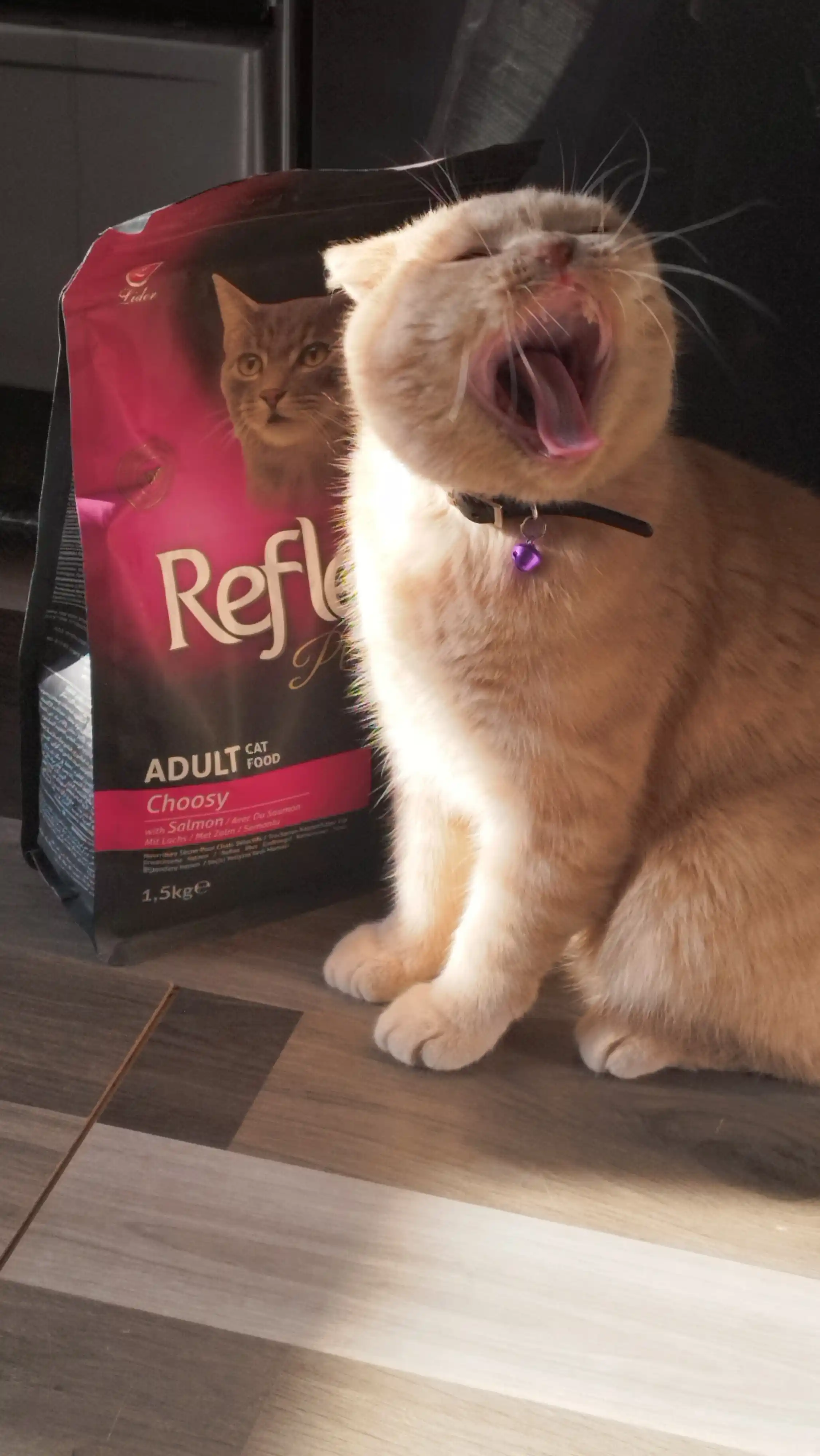 Reflex Plus Choosy – injiq mushuklar uchun lososli quruq ozuqa, 1,5 kg