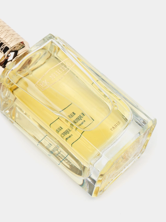 Erkaklar parfyumlangan suvi NARCOTIQUE EDP, BmlP, 100 ml