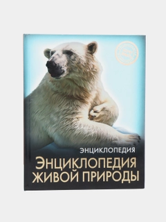 Зеленый