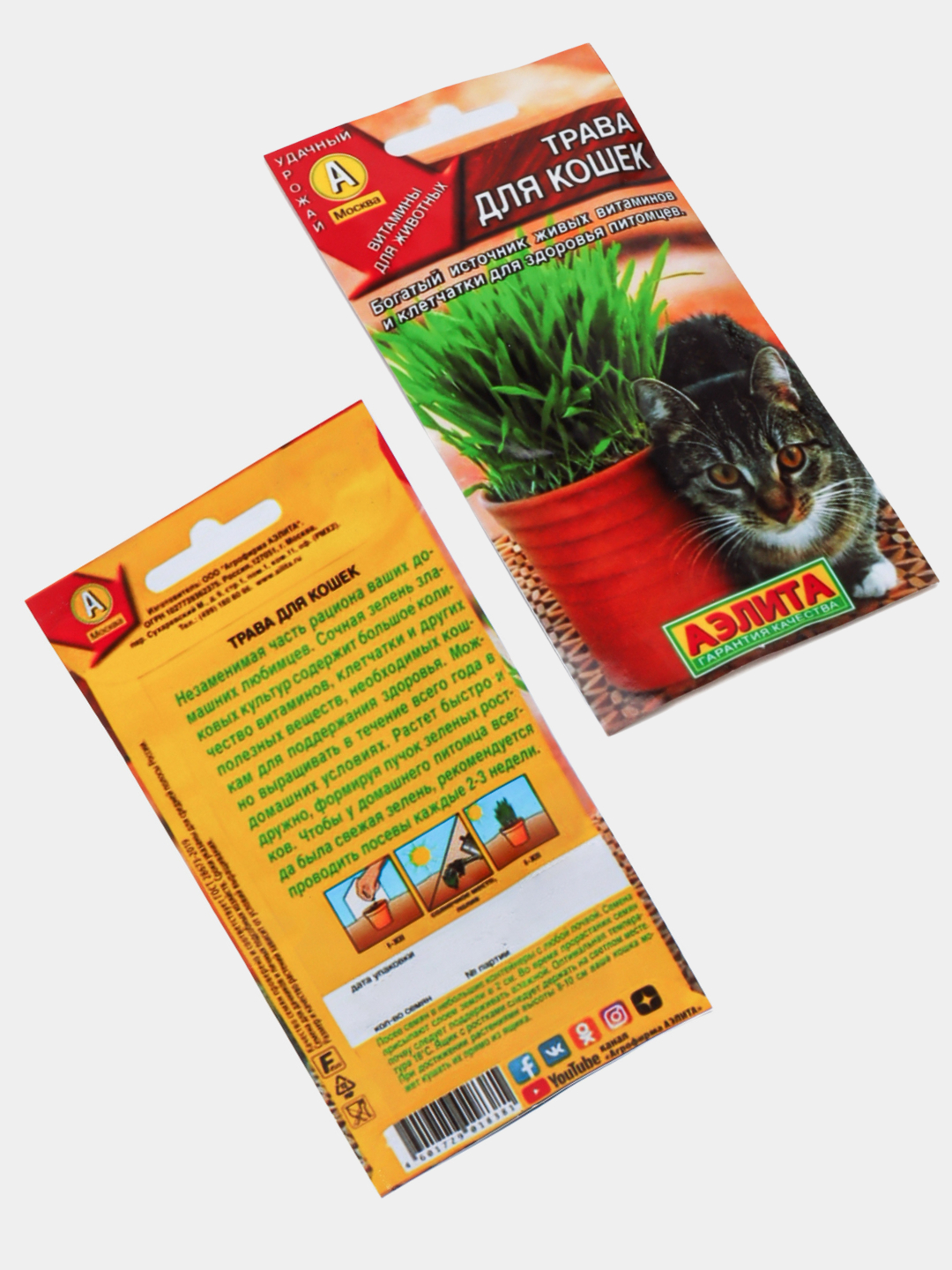 Semiz yapon ayollarining porno fotosuratlari