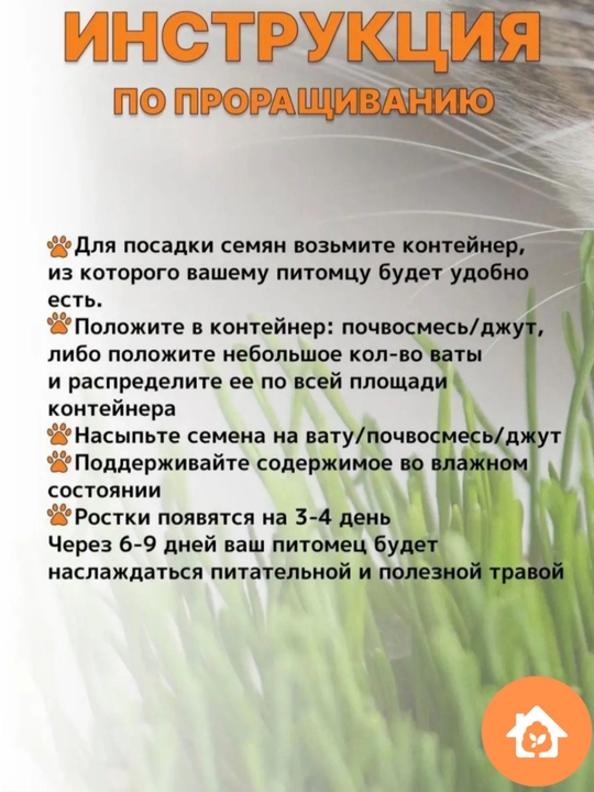 Семена. Трава для кошек, попугаев, грызунов