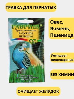 Белый