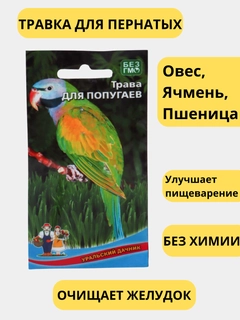 Желтый