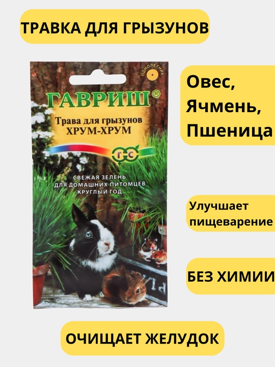 Семена. Трава для кошек, попугаев, грызунов - 