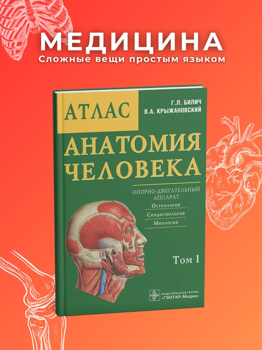 Атлас Анатомии Человека Билич 1 том - 