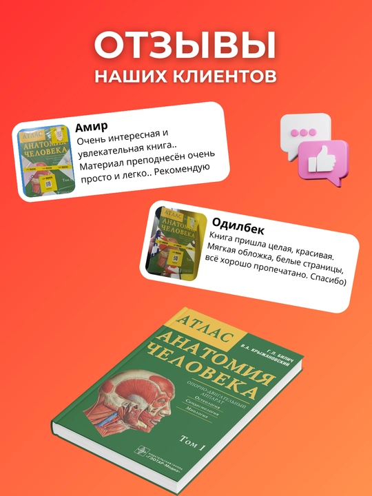 Атлас Анатомии Человека Билич 1 том