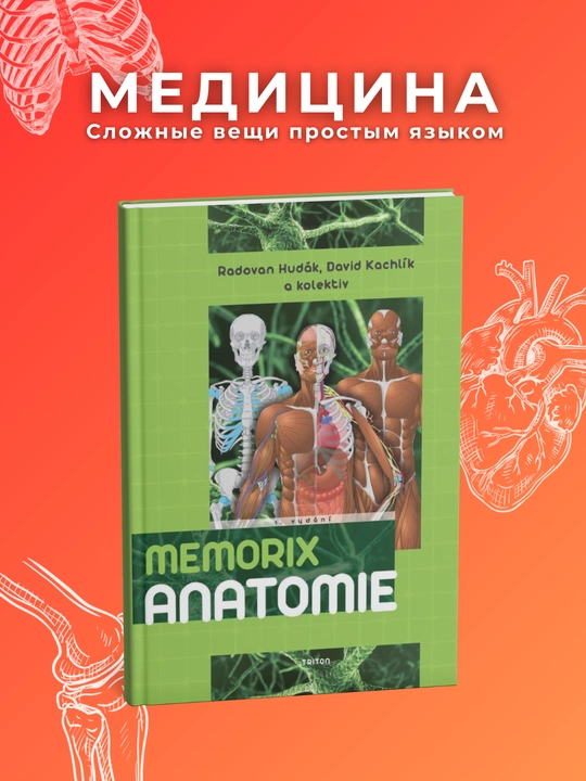 Memorix Anatomy & Histology. Odam Anatomiya - 