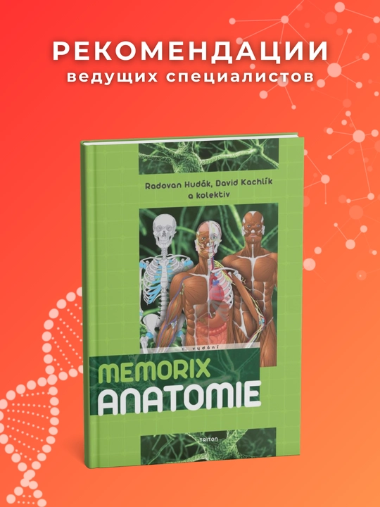 Memorix Anatomy & Histology. Odam Anatomiya