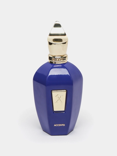 Ayollar va erkaklar uchun parfumlangan suv, XERJOFF ACCENTO, 100 ml 