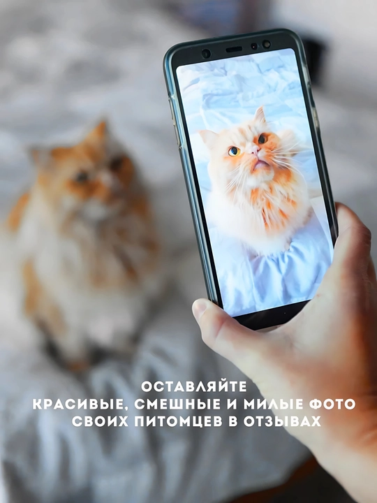 Силикагелевый наполнитель, для кошек, "Freshness", с ароматами лаванды и клубники