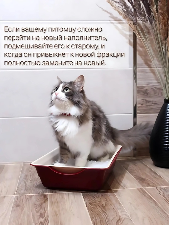 Силикагелевый наполнитель, для кошек, "Freshness", с ароматами лаванды и клубники