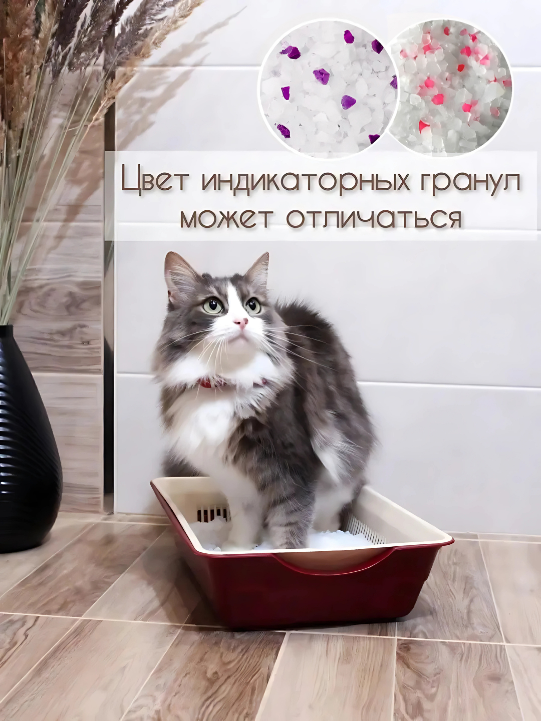 Yalangoch Incredibles rasmlar