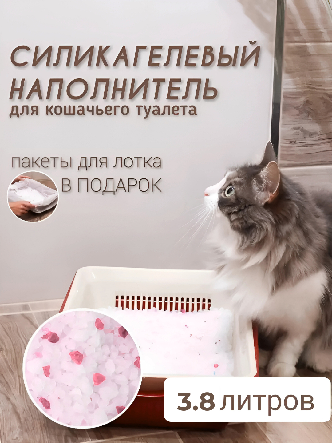 Natsistlar lanj porno Monster porno VIP jinsiy aloqa onlayn tomosha qiling