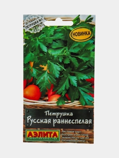 Индиго